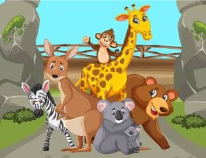 Crazy Zoo